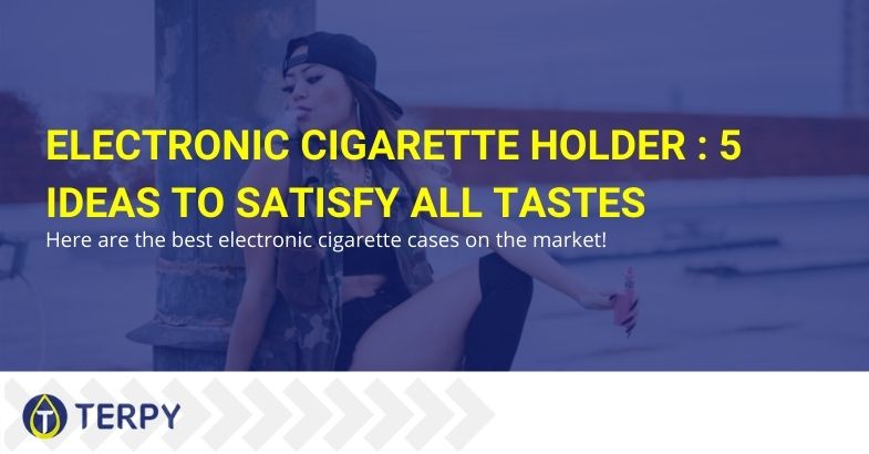 The best electronic cigarette cases on the market: 5 ideas