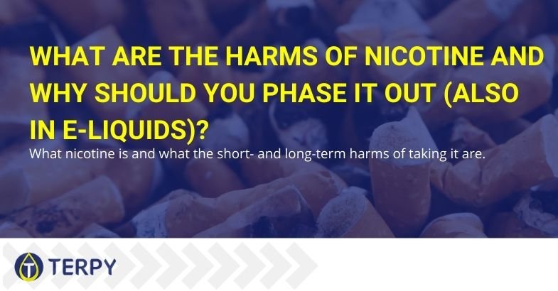 Nicotine: what it is, why you should eliminate it and what harm it causes.