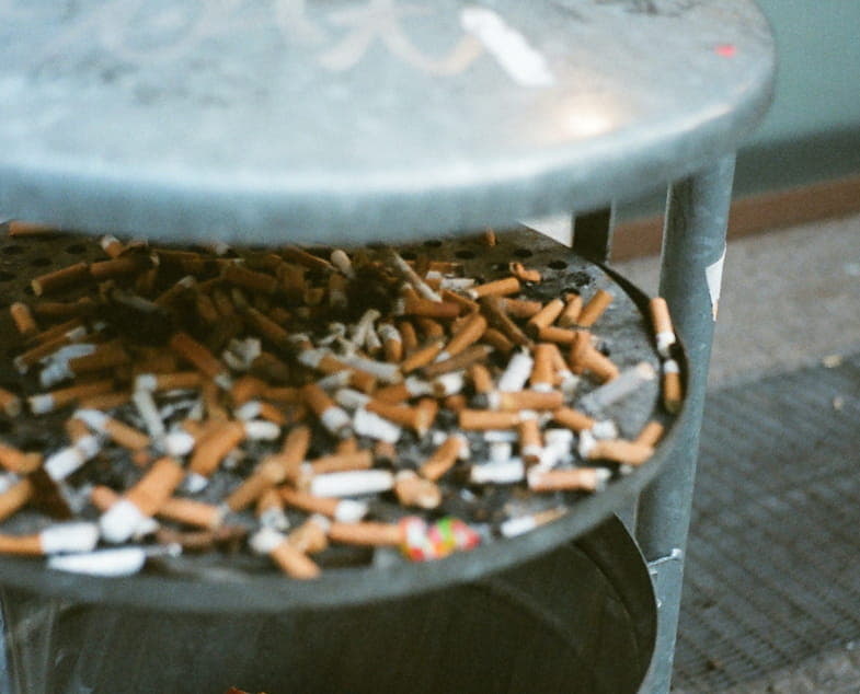 The decomposition of cigarette butts