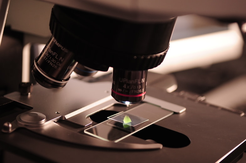 Researcher carrying out scientific studies with a microscope