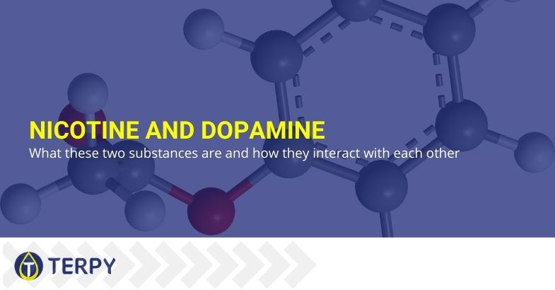 What nicotine and dopamine are and how they interact