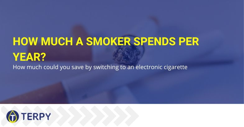 What is the annual expenditure of a smoker?
