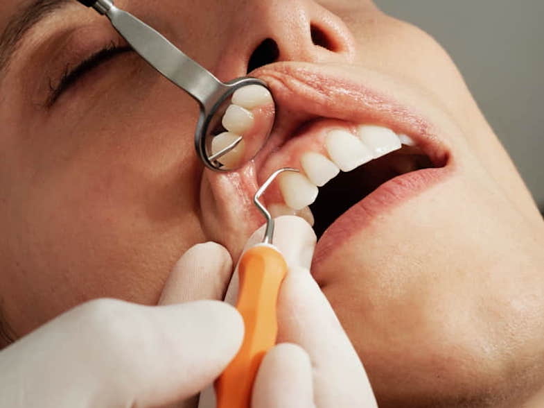 Dentist examining a patient's oral health | Terpy 