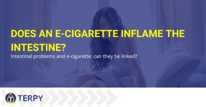 Electronic cigarette inflames the intestine | Terpy
