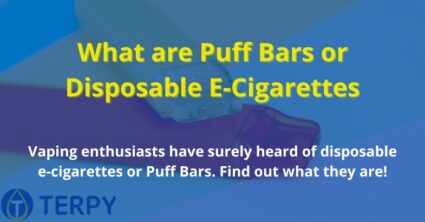 What are Puff Bars or Disposable E-Cigarettes