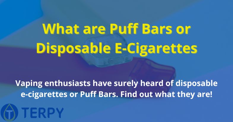 What are Puff Bars or Disposable E-Cigarettes