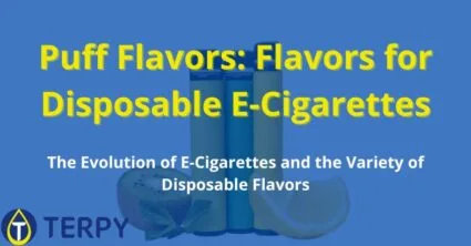 Puff Flavors: Flavors for Disposable E-Cigarettes