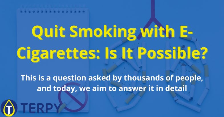 Quit Smoking with E-Cigarettes: Is It Possible?