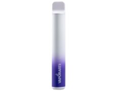 VAPORART disposable electronic cigarette vape pen fruitstard
