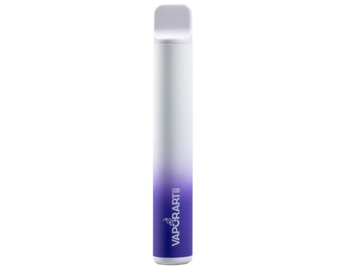 VAPORART disposable electronic cigarette vape pen fruitstard