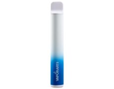 VAPORART disposable electronic cigarette vape pen pool party