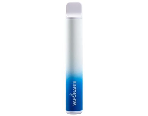 VAPORART disposable electronic cigarette vape pen pool party