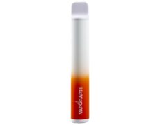 VAPORART disposable electronic cigarette vape pen summer party