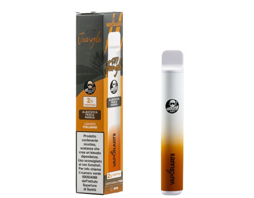 box with VAPORART disposable electronic cigarette vape pen jungle flavor